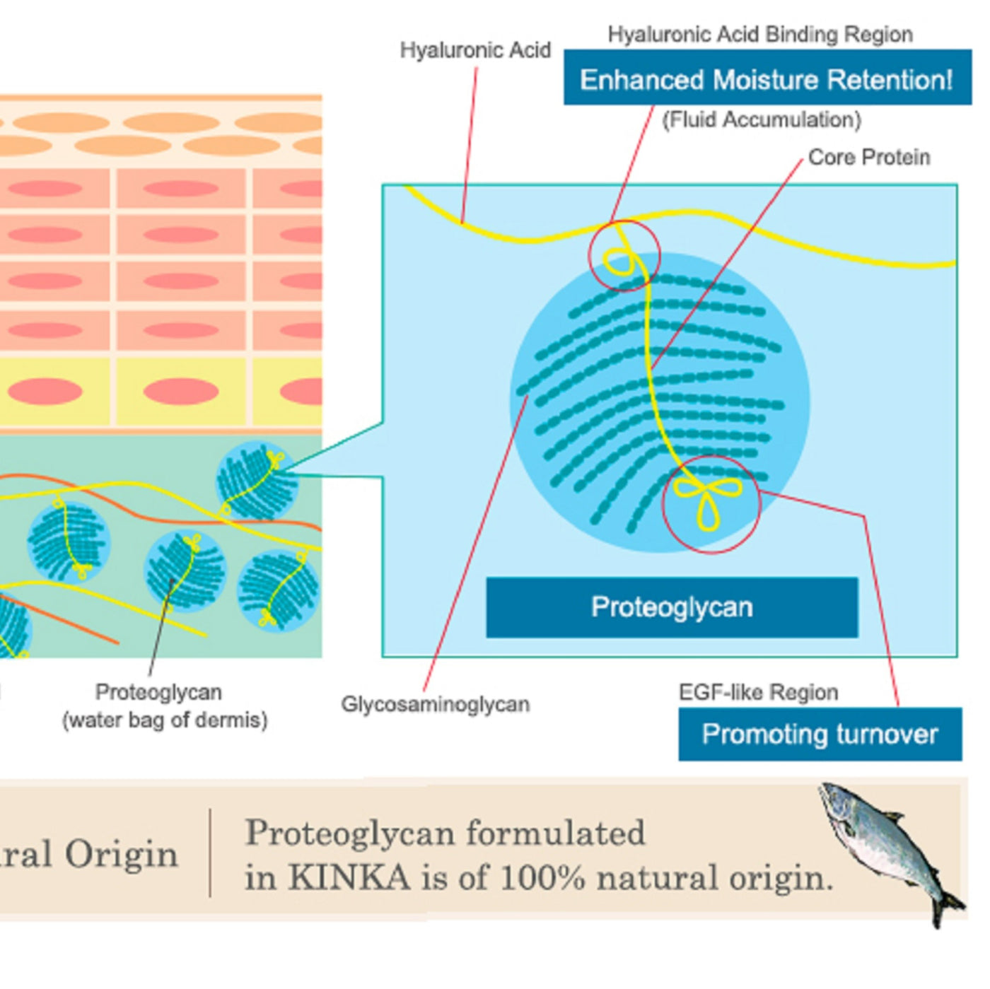 KINKA Gold Trial Set